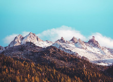 樊振东德甲联赛首秀失利